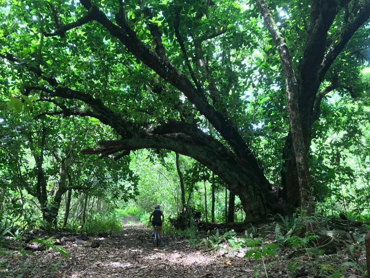 אלופי Namukulu Cottages מראה חיצוני תמונה